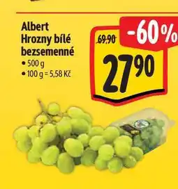 Albert Albert Hrozny bílé bezsemenné nabídka
