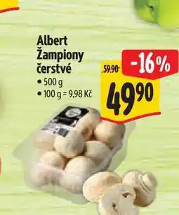 Albert Albert Žampiony čerstvé nabídka