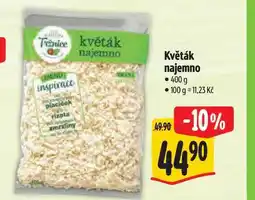 Albert Květák najemno nabídka