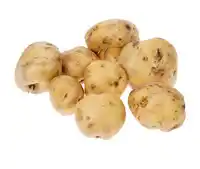 Terno Brambory konzumní pozdní nabídka