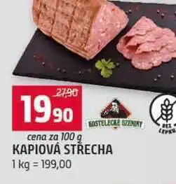 Terno KAPIOVÁ STŘECHA nabídka