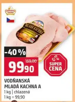 Terno VODŇANSKÁ MLADÁ KACHNA A nabídka