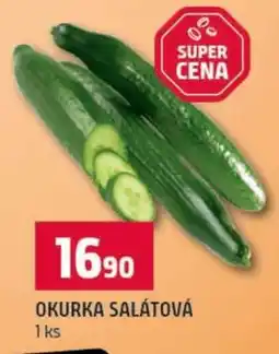 Terno OKURKA SALÁTOVÁ nabídka