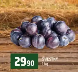 Terno Švestky nabídka