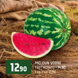 Terno MELOUN VODNÍ nabídka