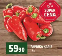 Terno Paprika kapie nabídka
