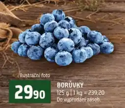 Terno Borůvky nabídka
