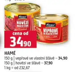 Terno HAMÉ nabídka