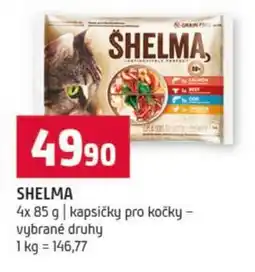 Terno Shelma nabídka