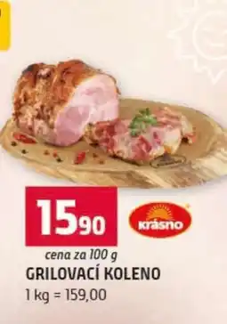Terno Grilovací koleno nabídka