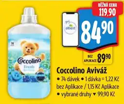 Albert Coccolino Aviváž nabídka