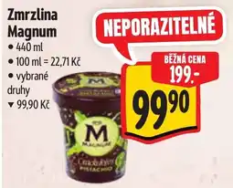 Albert Magnum zmrzlina nabídka