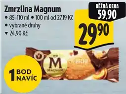 Albert Magnum zmrzlina nabídka