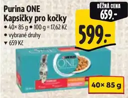 Albert Purina kapsičky pro kočky nabídka