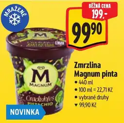 Albert Zmrzlina Magnum Pinta nabídka