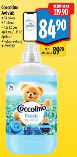 Albert Coccolino Aviváž nabídka