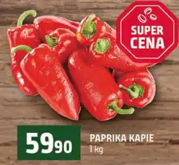 Terno Paprika kapie nabídka