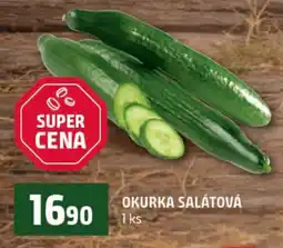 Terno Okurka salátová nabídka