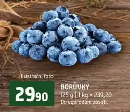 Terno borůvky nabídka