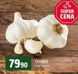 Terno Česnek nabídka