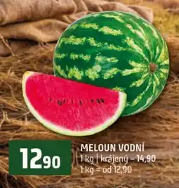 Terno Meloun vodní nabídka