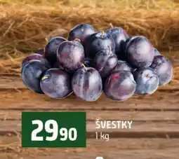 Terno Švestky nabídka