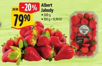 Albert jahody