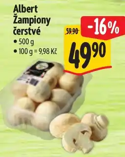 Albert Albert Žampiony čerstvé nabídka