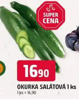 Trefa Okurka salátová nabídka