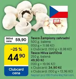 Tesco Tesco Žampiony zahradní nabídka