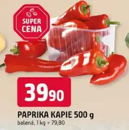 Trefa Paprika kapije nabídka