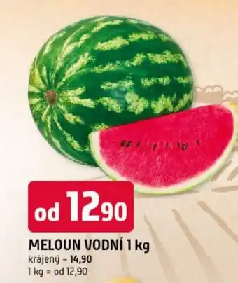 Trefa Meloun vodní nabídka