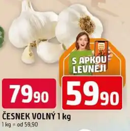 Trefa Česnek volný nabídka