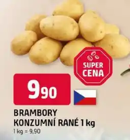 Trefa Brambory konzumní rané nabídka