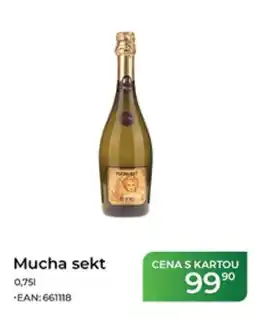 Tamda Foods Mucha sekt nabídka