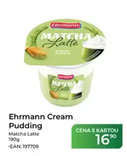 Tamda Foods Ehrmann Cream Pudding Matcha Latte nabídka