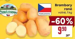 Billa Česká farma brambory rané nabídka