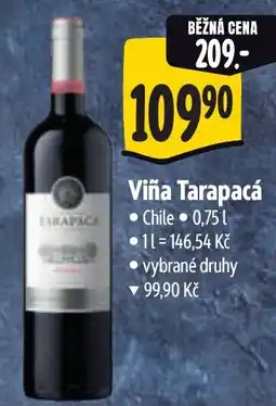 Albert Viña Tarapacá nabídka