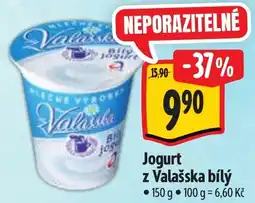 Albert Valašská jogurt bílý nabídka