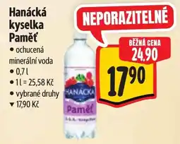 Albert Hanácká Paměť nabídka