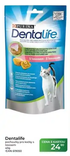 Tamda Foods Dentalife pochoutky pro kočky s lososem nabídka