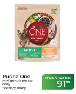 Tamda Foods Purina One mini granule pro psy nabídka