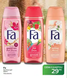 Tamda Foods Fa sprchový gel nabídka
