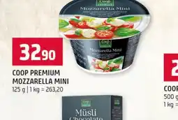 Terno Coop Premium Mozzarella Mini nabídka