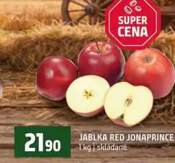 Terno JABLKA RED JONAPRINCE 1 kg skládané nabídka