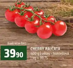 Terno CHERRY RAJČATA 400 g větev koktejlová nabídka
