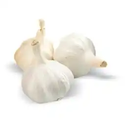 Terno Česnek nabídka