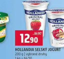 Terno HOLLANDIA SELSKÝ JOGURT 200 g vybrané druhy nabídka