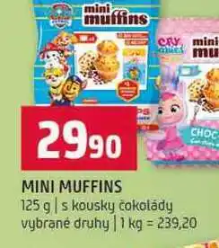 Terno MINI MUFFINS 125 g s kousky čokolády vybrané druhy nabídka