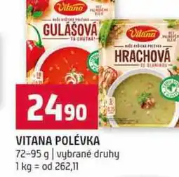 Terno VITANA POLÉVKA 72-95 g vybrané druhy nabídka